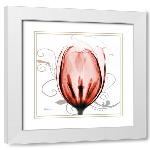 Happy Tulip in Red White Modern Wood Framed Art Print with Double Matting by Koetsier, Albert