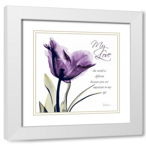 My Love - Purple Tulip White Modern Wood Framed Art Print with Double Matting by Koetsier, Albert