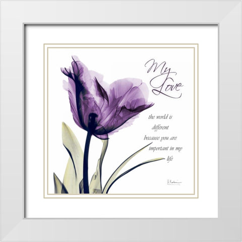 My Love - Purple Tulip White Modern Wood Framed Art Print with Double Matting by Koetsier, Albert