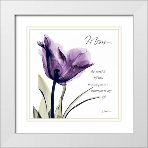 Mom - Purple Tulip White Modern Wood Framed Art Print with Double Matting by Koetsier, Albert