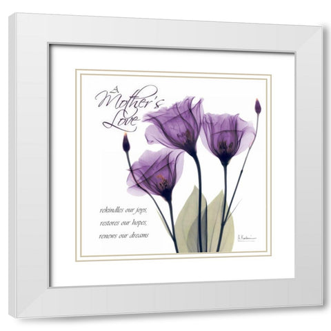 Mothers - Purple Tulips White Modern Wood Framed Art Print with Double Matting by Koetsier, Albert