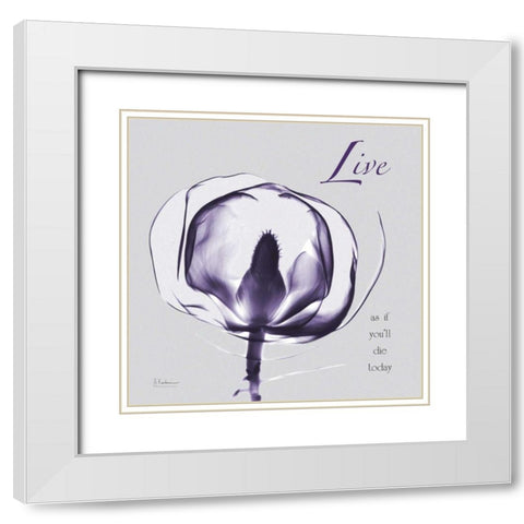 Plum Magnolia Live White Modern Wood Framed Art Print with Double Matting by Koetsier, Albert