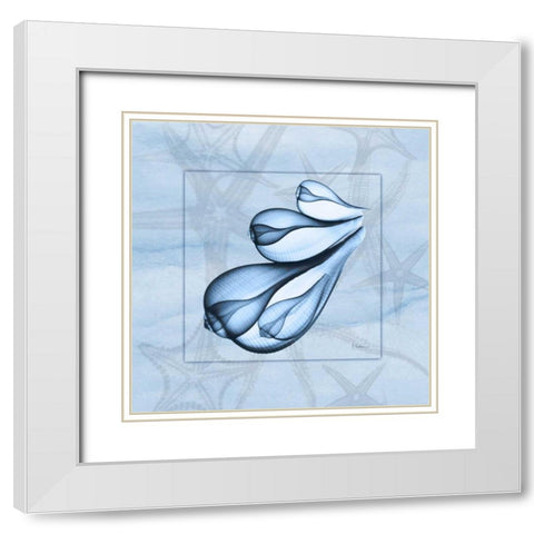 Triple Shells on Blue White Modern Wood Framed Art Print with Double Matting by Koetsier, Albert