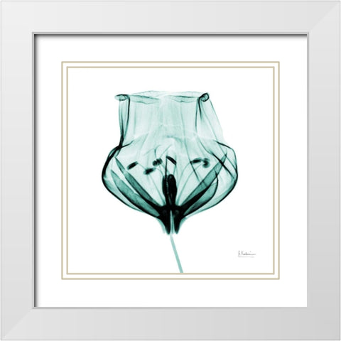 Gracious Green Bulb 2 White Modern Wood Framed Art Print with Double Matting by Koetsier, Albert