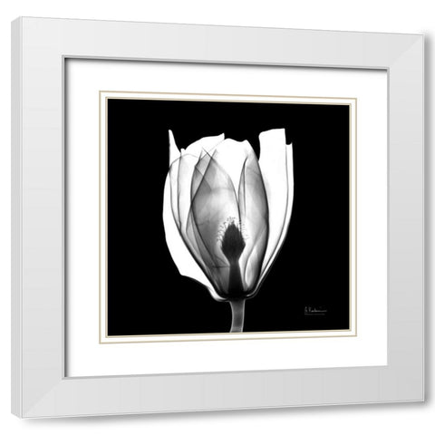 Beautiful Bulb on Black White Modern Wood Framed Art Print with Double Matting by Koetsier, Albert