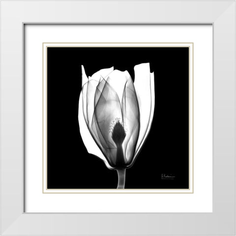 Beautiful Bulb on Black White Modern Wood Framed Art Print with Double Matting by Koetsier, Albert