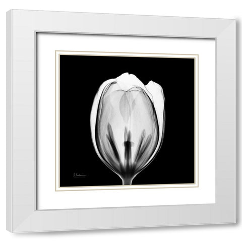 Beautiful Bulb on Black 2 White Modern Wood Framed Art Print with Double Matting by Koetsier, Albert