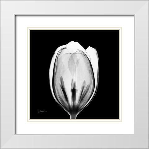 Beautiful Bulb on Black 2 White Modern Wood Framed Art Print with Double Matting by Koetsier, Albert