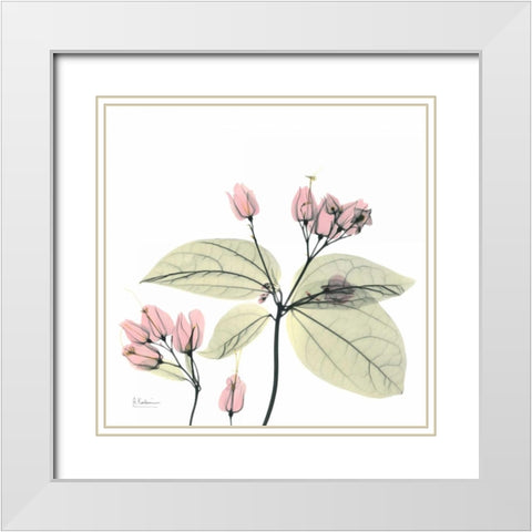 Pretty Pink Blooms 2 White Modern Wood Framed Art Print with Double Matting by Koetsier, Albert
