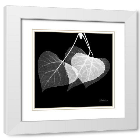 Three Leaves Three on Black White Modern Wood Framed Art Print with Double Matting by Koetsier, Albert