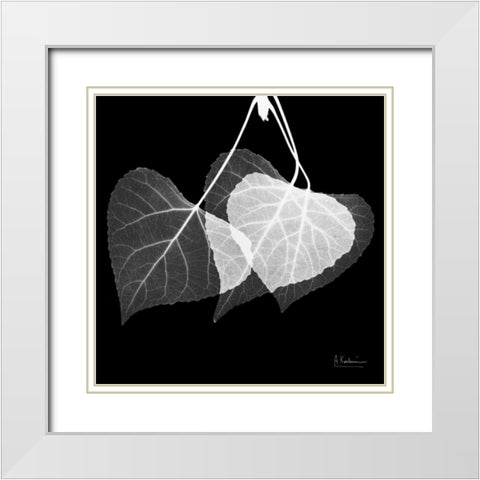 Three Leaves Three on Black White Modern Wood Framed Art Print with Double Matting by Koetsier, Albert
