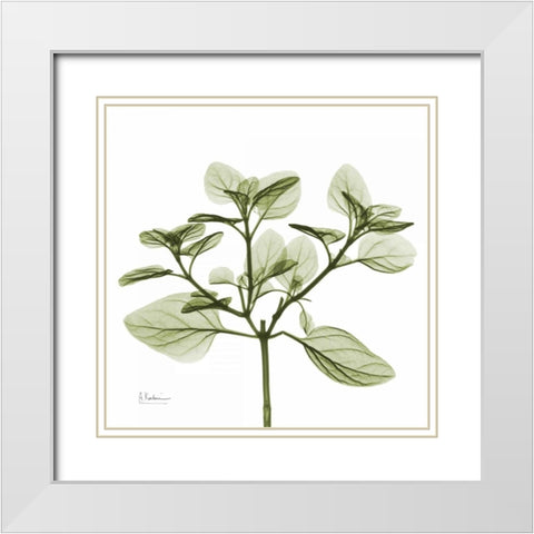 Green Leaves in Bloom 2 White Modern Wood Framed Art Print with Double Matting by Koetsier, Albert