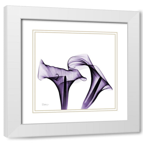 Violet Calla Twins White Modern Wood Framed Art Print with Double Matting by Koetsier, Albert