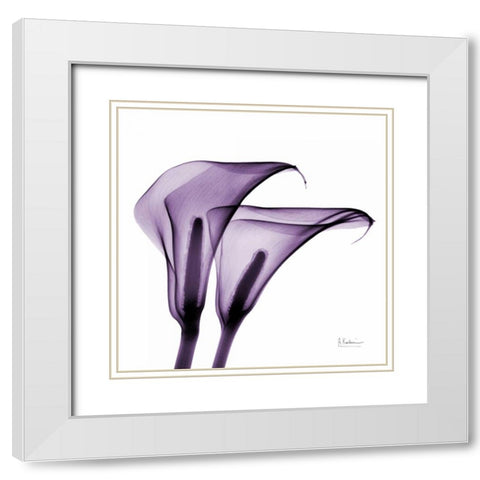 Violet Calla Twins 2 White Modern Wood Framed Art Print with Double Matting by Koetsier, Albert