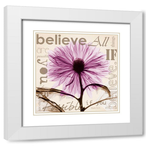 Chrysanthemum Believe White Modern Wood Framed Art Print with Double Matting by Koetsier, Albert