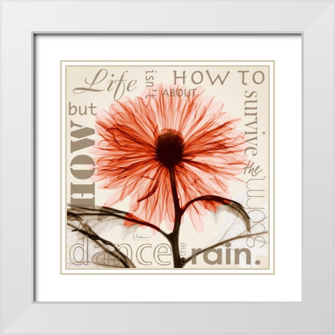 Chrysanthemum Life White Modern Wood Framed Art Print with Double Matting by Koetsier, Albert