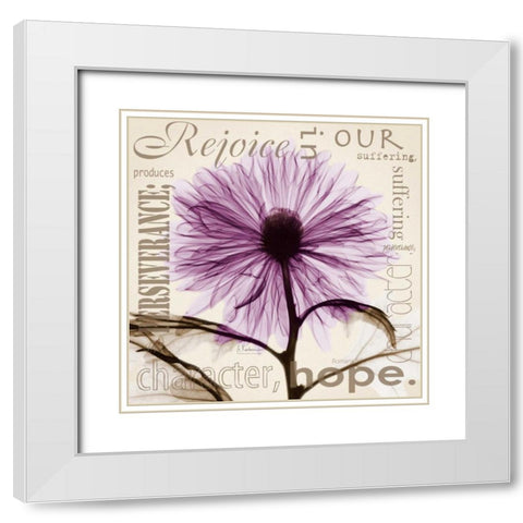 Rejoice - Violet Chrysanthemum White Modern Wood Framed Art Print with Double Matting by Koetsier, Albert