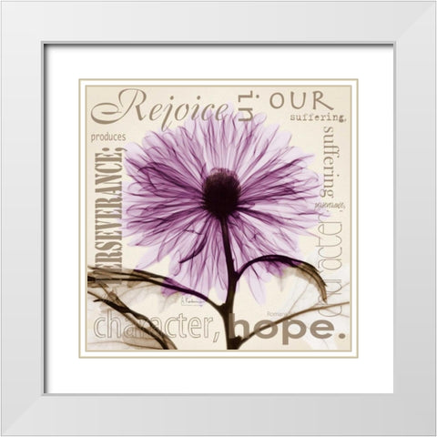 Rejoice - Violet Chrysanthemum White Modern Wood Framed Art Print with Double Matting by Koetsier, Albert