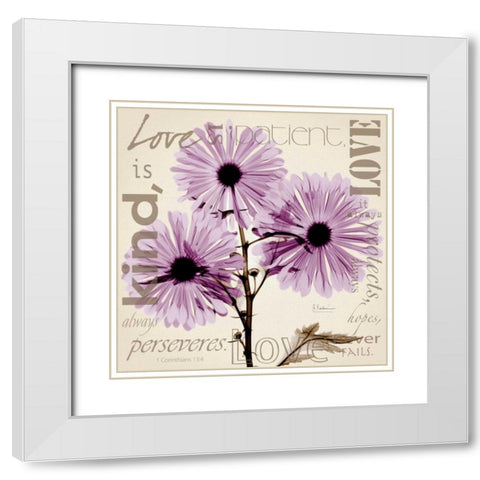 Love - Violet Chrysanthemum White Modern Wood Framed Art Print with Double Matting by Koetsier, Albert