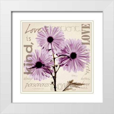 Love - Violet Chrysanthemum White Modern Wood Framed Art Print with Double Matting by Koetsier, Albert