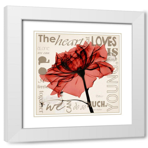 Red Rose Love White Modern Wood Framed Art Print with Double Matting by Koetsier, Albert