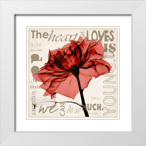 Red Rose Love White Modern Wood Framed Art Print with Double Matting by Koetsier, Albert
