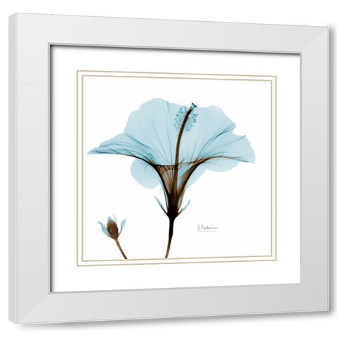 Hibiscus Wave White Modern Wood Framed Art Print with Double Matting by Koetsier, Albert