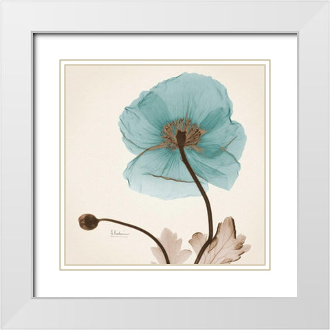 Iceland Poppy Believe White Modern Wood Framed Art Print with Double Matting by Koetsier, Albert