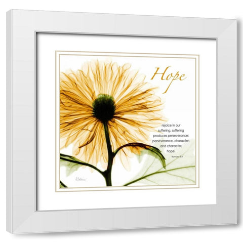 GoldChrysanthemumHOPE White Modern Wood Framed Art Print with Double Matting by Koetsier, Albert