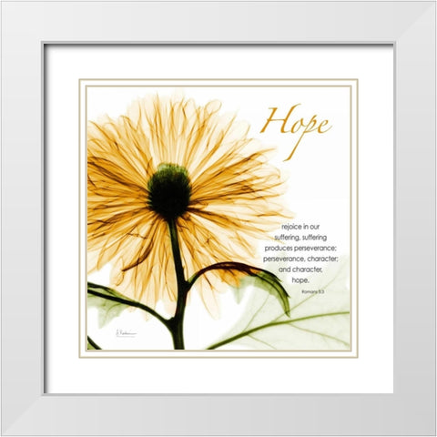 GoldChrysanthemumHOPE White Modern Wood Framed Art Print with Double Matting by Koetsier, Albert