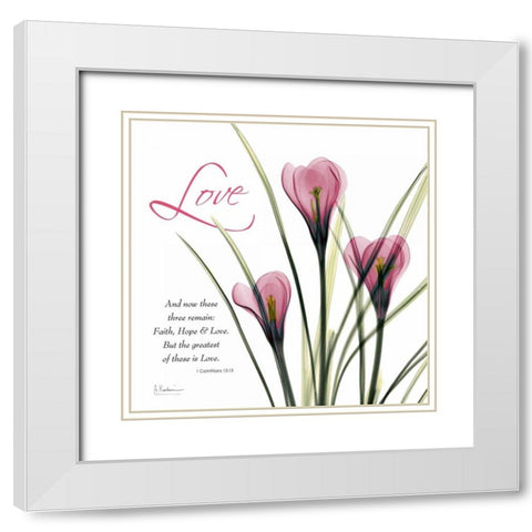 loveCrocusC37 White Modern Wood Framed Art Print with Double Matting by Koetsier, Albert