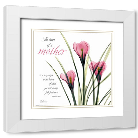 Love Crocus C37 White Modern Wood Framed Art Print with Double Matting by Koetsier, Albert