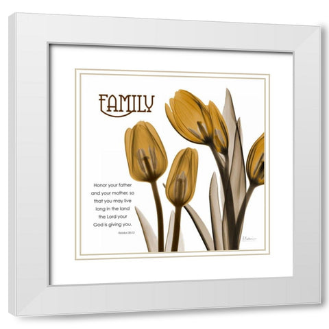 TulipsFamily White Modern Wood Framed Art Print with Double Matting by Koetsier, Albert