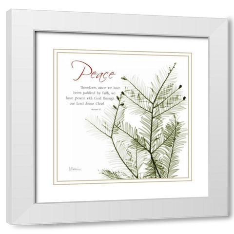 XmasEvergreen White Modern Wood Framed Art Print with Double Matting by Koetsier, Albert