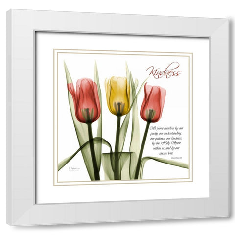 tulipsKindness White Modern Wood Framed Art Print with Double Matting by Koetsier, Albert