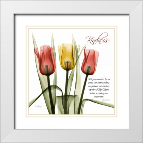 tulipsKindness White Modern Wood Framed Art Print with Double Matting by Koetsier, Albert