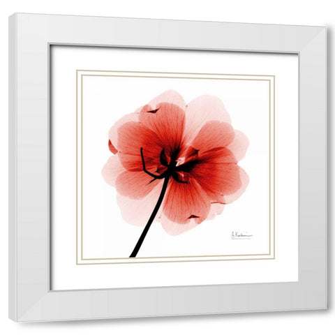mockDogwood White Modern Wood Framed Art Print with Double Matting by Koetsier, Albert