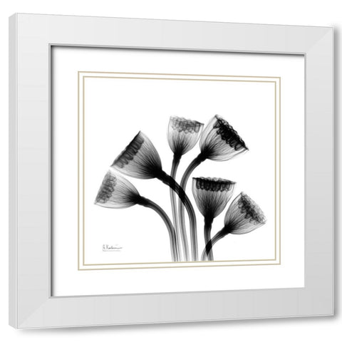 Lotus Lamps White Modern Wood Framed Art Print with Double Matting by Koetsier, Albert