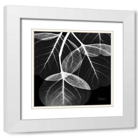 EucalyptusINVERTED White Modern Wood Framed Art Print with Double Matting by Koetsier, Albert