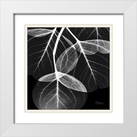 EucalyptusINVERTED White Modern Wood Framed Art Print with Double Matting by Koetsier, Albert