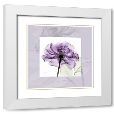 purpleRose White Modern Wood Framed Art Print with Double Matting by Koetsier, Albert