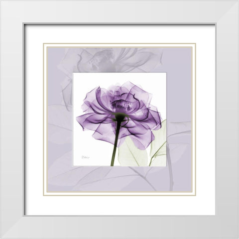 purpleRose White Modern Wood Framed Art Print with Double Matting by Koetsier, Albert