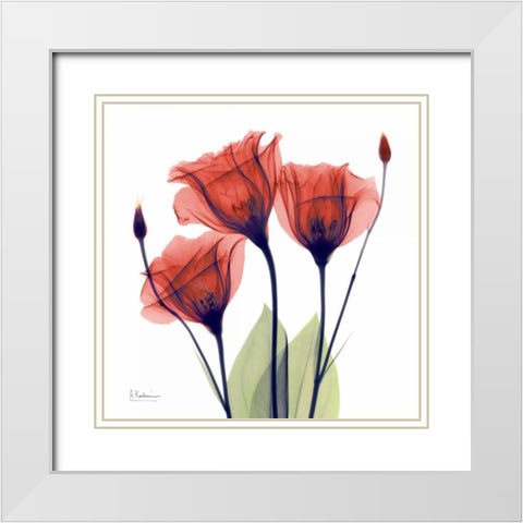 Gentian Red White Modern Wood Framed Art Print with Double Matting by Koetsier, Albert