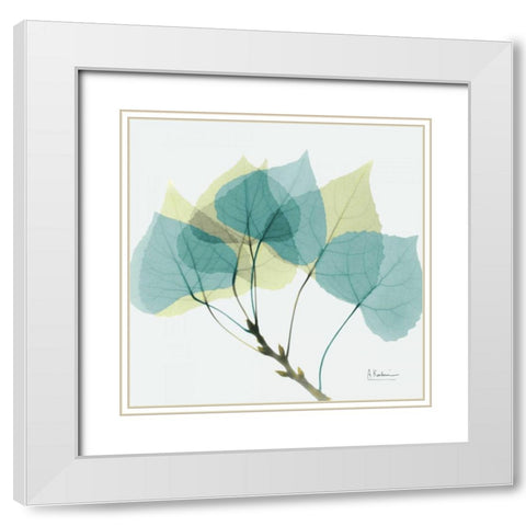 Aspen E143 White Modern Wood Framed Art Print with Double Matting by Koetsier, Albert