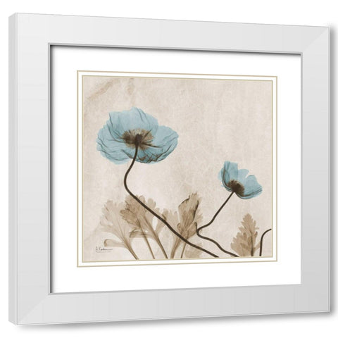 Poppies L167 White Modern Wood Framed Art Print with Double Matting by Koetsier, Albert