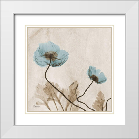 Poppies L167 White Modern Wood Framed Art Print with Double Matting by Koetsier, Albert