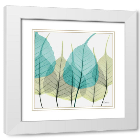 Bodhi Tree White Modern Wood Framed Art Print with Double Matting by Koetsier, Albert