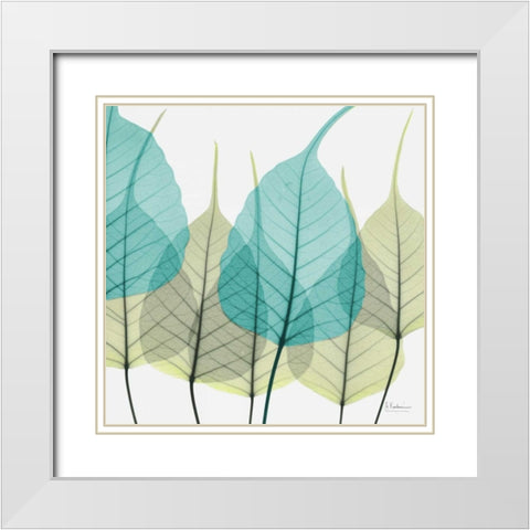 Bodhi Tree White Modern Wood Framed Art Print with Double Matting by Koetsier, Albert