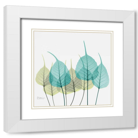 Bodhi Tree White Modern Wood Framed Art Print with Double Matting by Koetsier, Albert