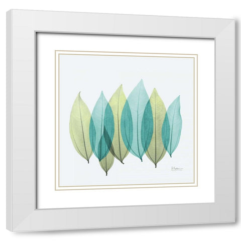 Coculus Leaf L348 White Modern Wood Framed Art Print with Double Matting by Koetsier, Albert